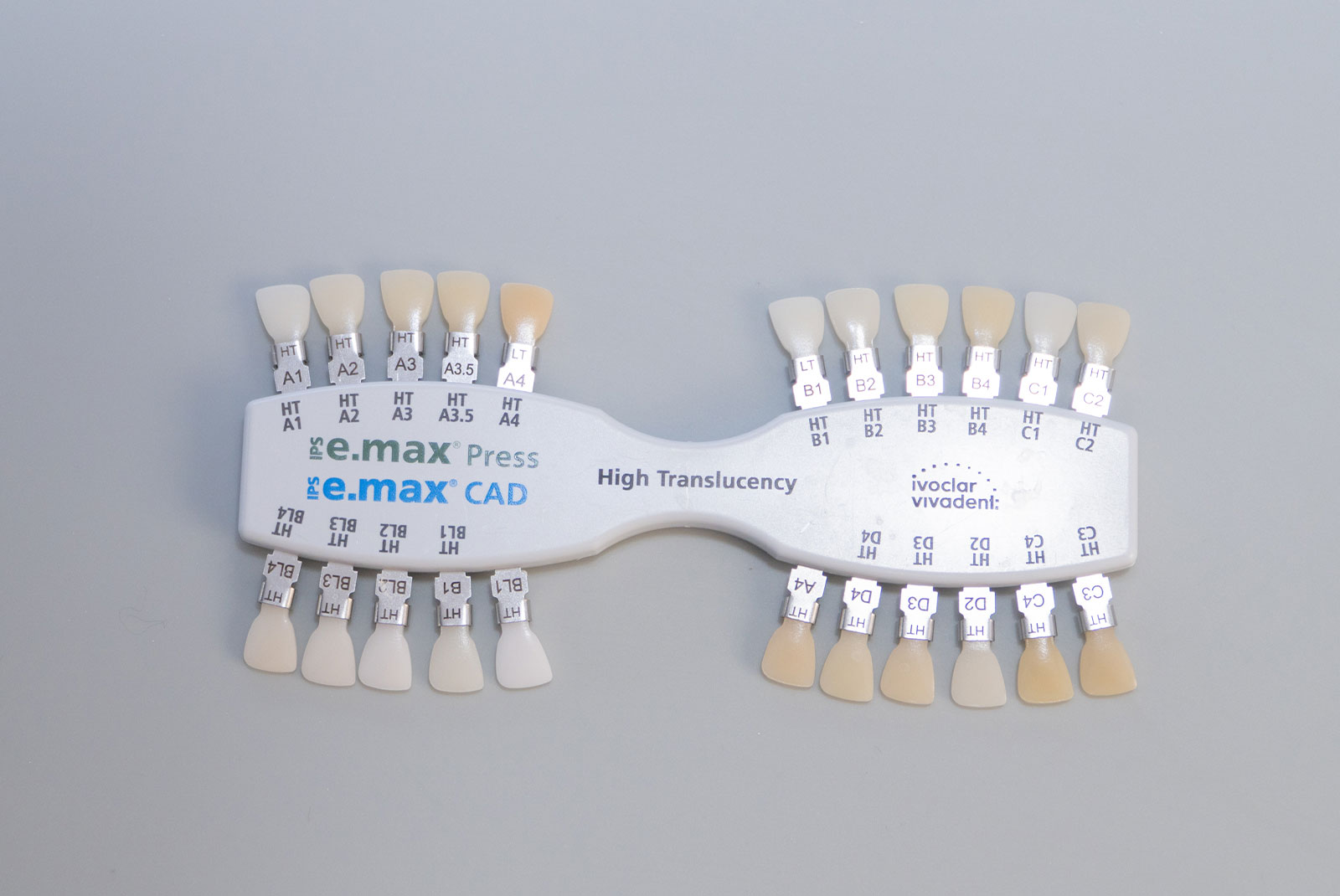 veneer model